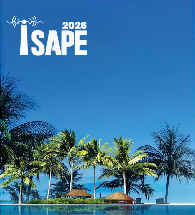 Special Section on Selected Expanded Articles from ISAPE 2026