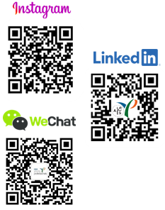 Young Professionals Social Networks